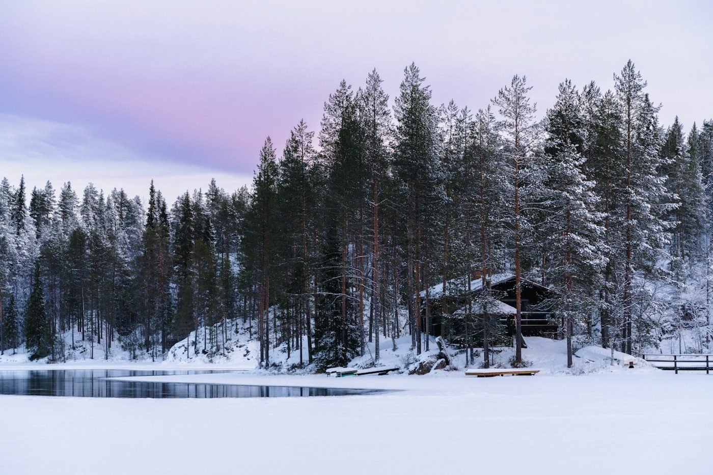 Forest and cabin in winter